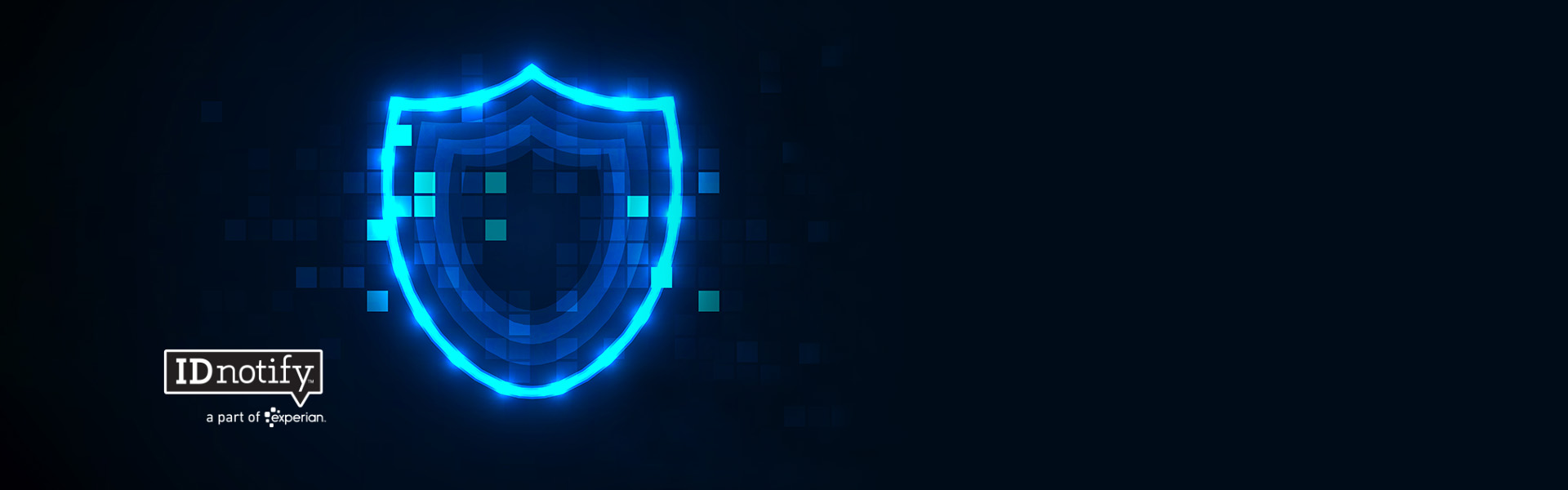 Privacy & Security